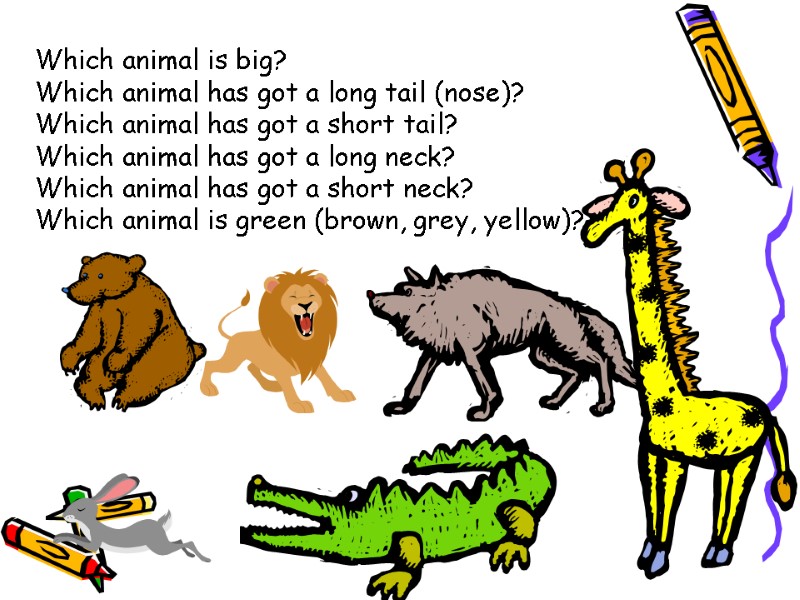Which animal is big? Which animal has got a long tail (nose)? Which animal
